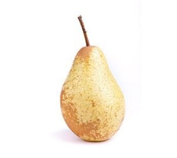 Poire Rocha