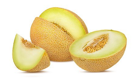 Melon Galia